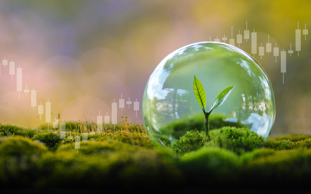 Protect and grow wealth in uncertain times